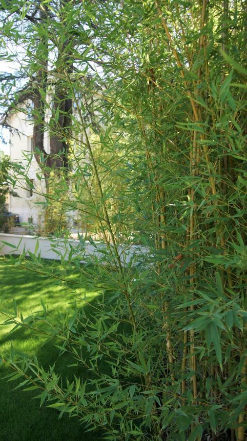 Hotel De Charme L'Oree Du Parc 로만스수르아이져 외부 사진